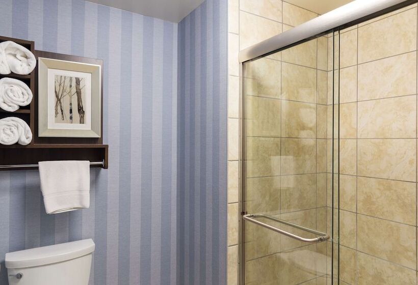 スタンダードスタジオ, Homewood Suites By Hilton Bloomington