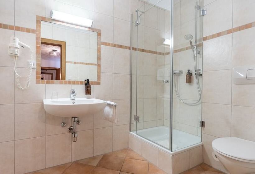 غرفة قياسية فردية, Krone Tirol