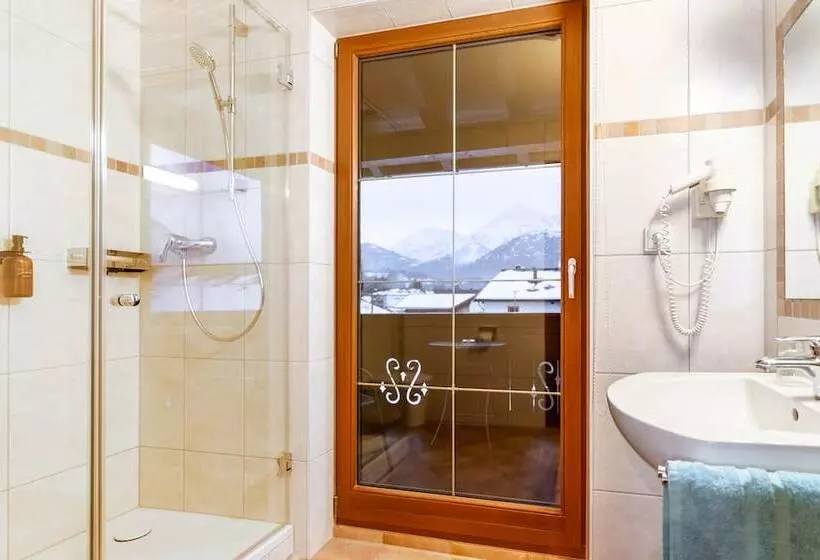 スタンダードシングルルーム, Krone Tirol
