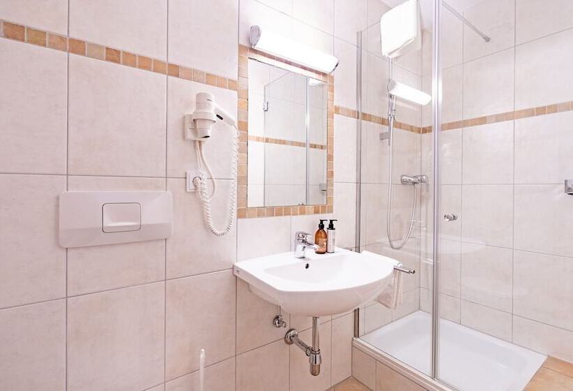 غرفة قياسية فردية, Krone Tirol