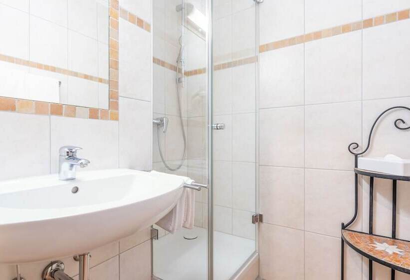 غرفة قياسية فردية, Krone Tirol