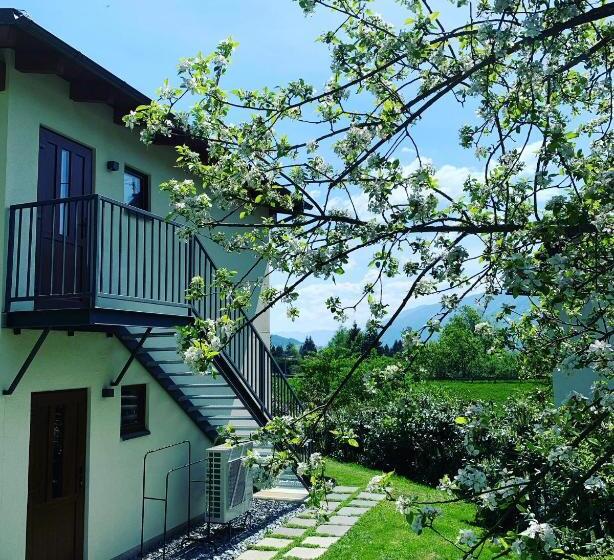 Апартаменты 1 Спальня с Террасой, Pension & Apartments Waldkrieber