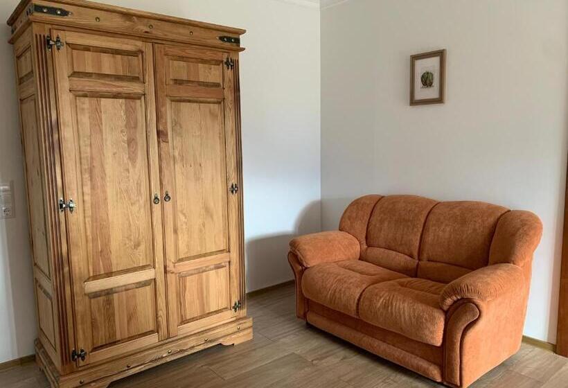 Апартаменты 1 Спальня с Террасой, Pension & Apartments Waldkrieber