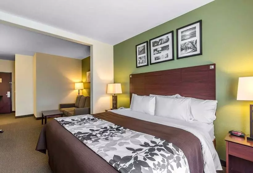 سوئیت برای معلولان, Sleep Inn & Suites Bush Intercontinental  Iah East