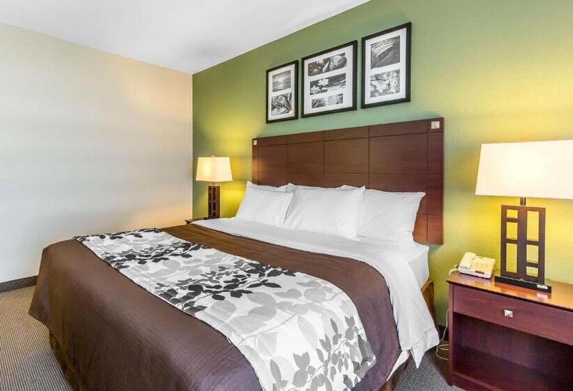 带大床的标准间, Sleep Inn & Suites Bush Intercontinental Iah East