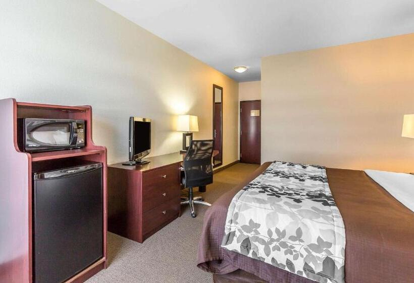 带大床的标准间, Sleep Inn & Suites Bush Intercontinental Iah East