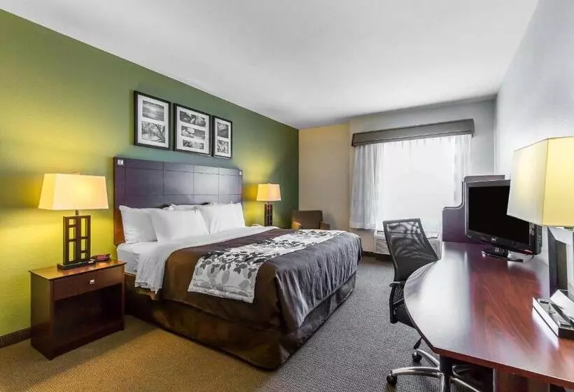 اتاق استاندارد با تخت بزرگ, Sleep Inn & Suites Bush Intercontinental  Iah East