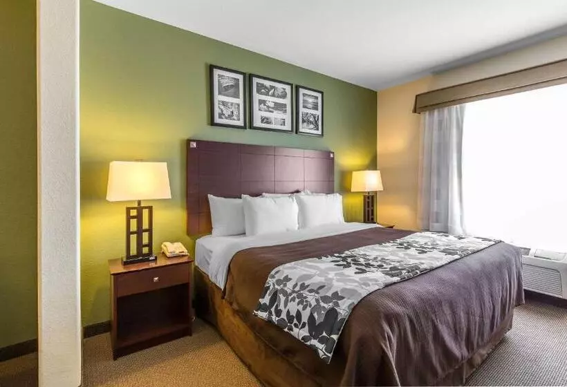 اتاق استاندارد با تخت بزرگ, Sleep Inn & Suites Bush Intercontinental  Iah East
