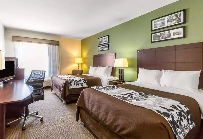اتاق استاندارد, Sleep Inn & Suites Bush Intercontinental  Iah East