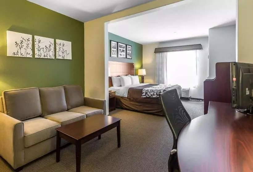 سوئیت با تخت بزرگ, Sleep Inn & Suites Bush Intercontinental  Iah East