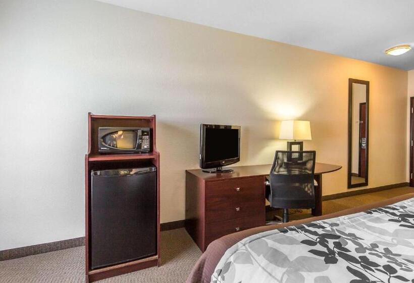 身障者適用キングサイズベッドルーム, Sleep Inn & Suites Bush Intercontinental  Iah East