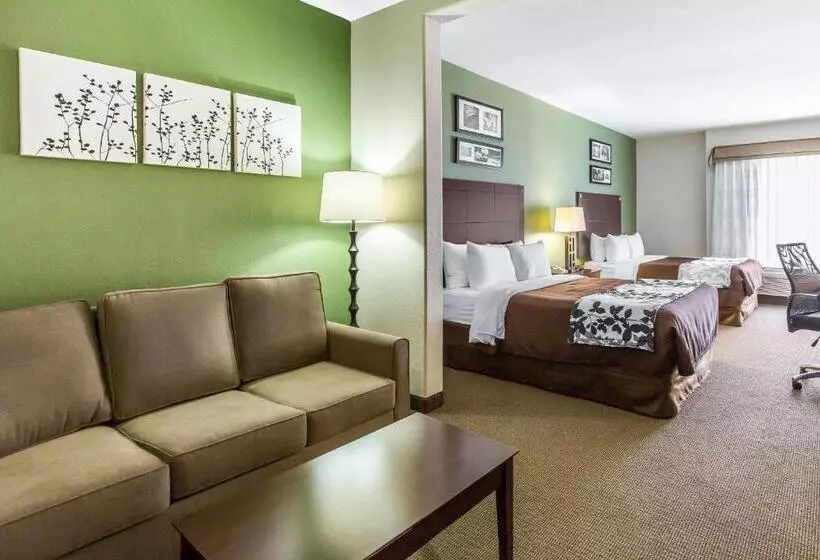 اتاق استاندارد برای معلولان, Sleep Inn & Suites Bush Intercontinental  Iah East