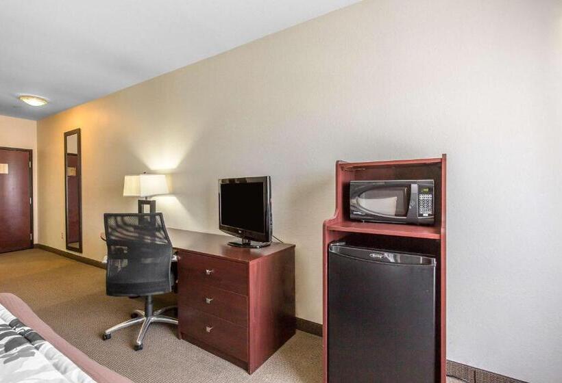 适合残疾人使用的标准间, Sleep Inn & Suites Bush Intercontinental Iah East