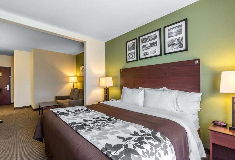身障者適用スイートルーム, Sleep Inn & Suites Bush Intercontinental  Iah East