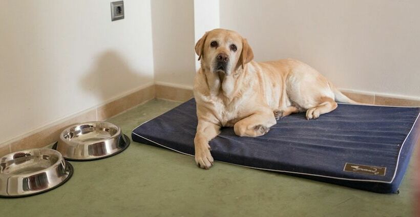 スタンダードルーム, Spa Norat Torre Do Deza 4 Superior