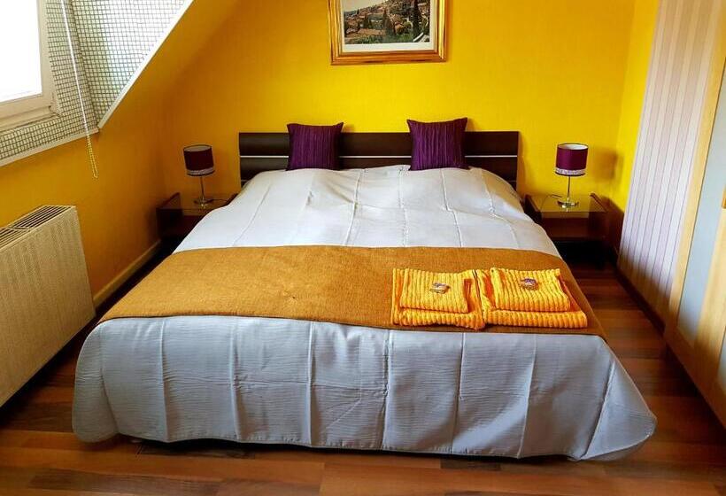 غرفة ديلوكس, Stayincologne