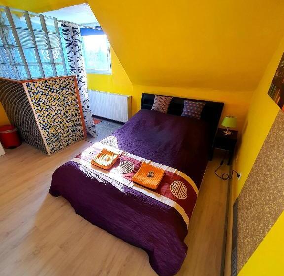 Quarto Economy, Stayincologne