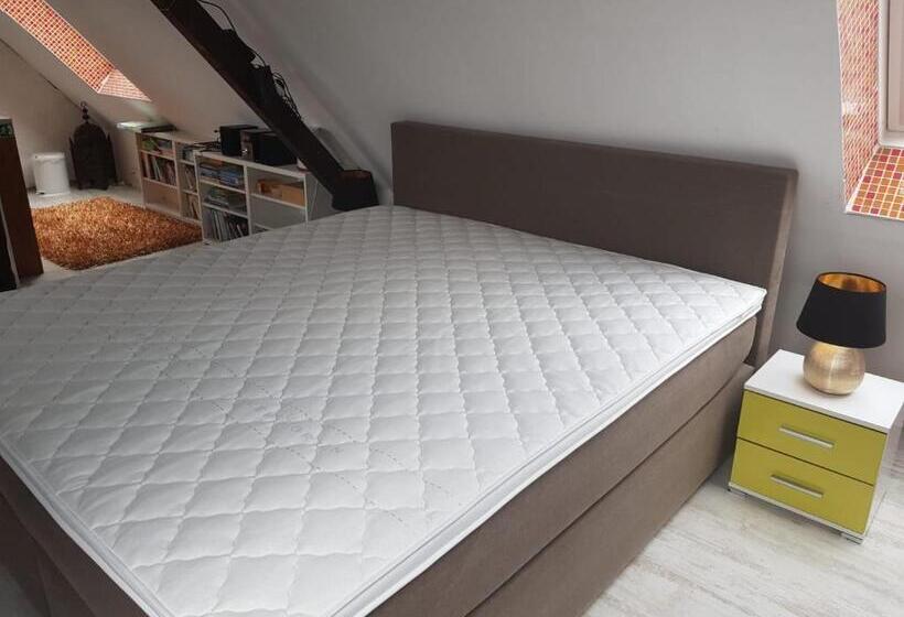 Suíte Clássica, Stayincologne