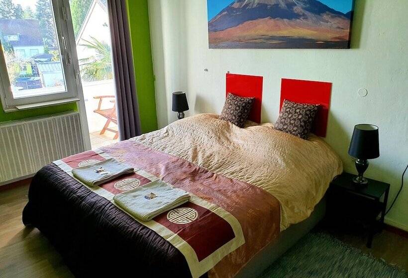 Quarto Economy, Stayincologne