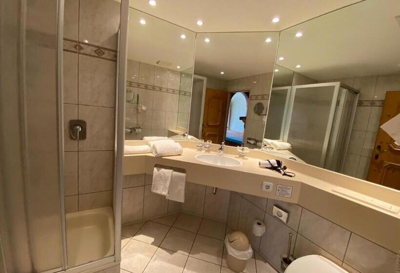 클래식 싱글 룸, Meister Bär Hotel Frankenwald