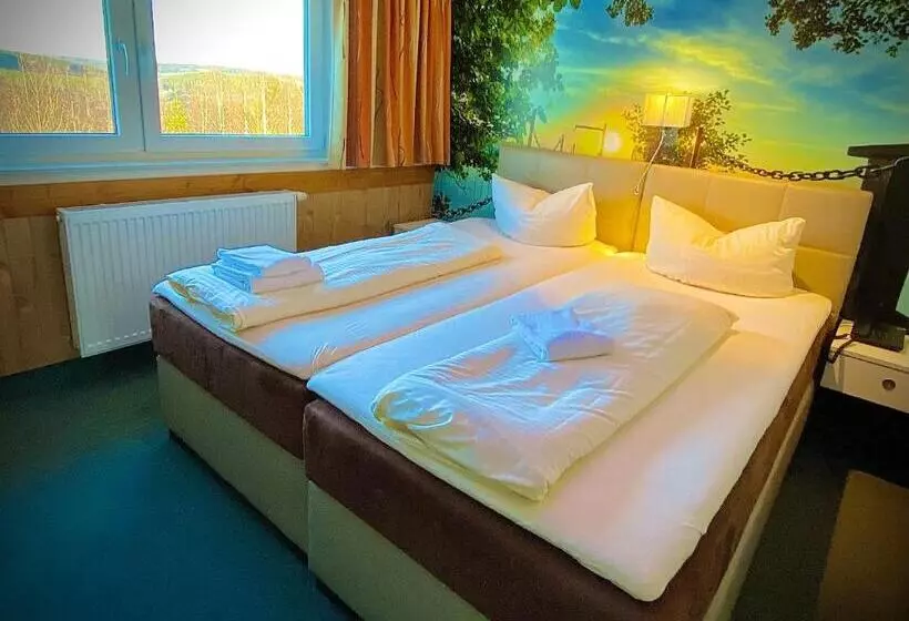 اتاق راحتی یک تخته, Meister Bär Hotel Frankenwald