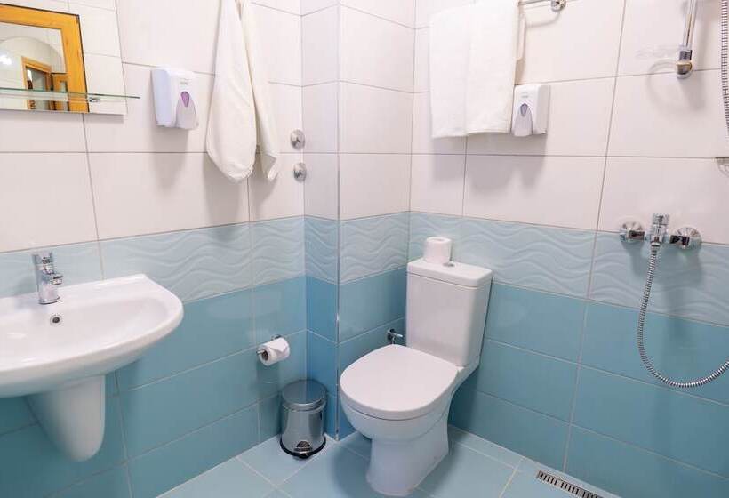 スタンダードルーム, Color