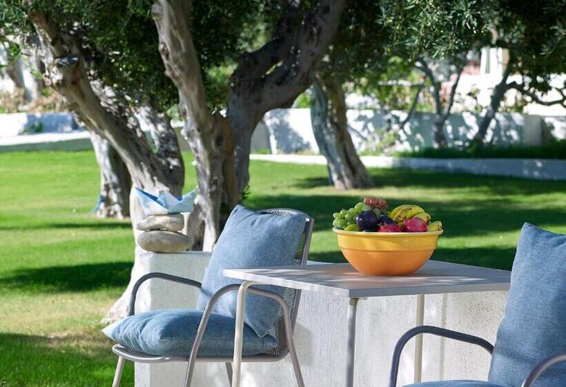 Номер Deluxe Вид на Сад, Coriva Beach Hotel & Bungalows