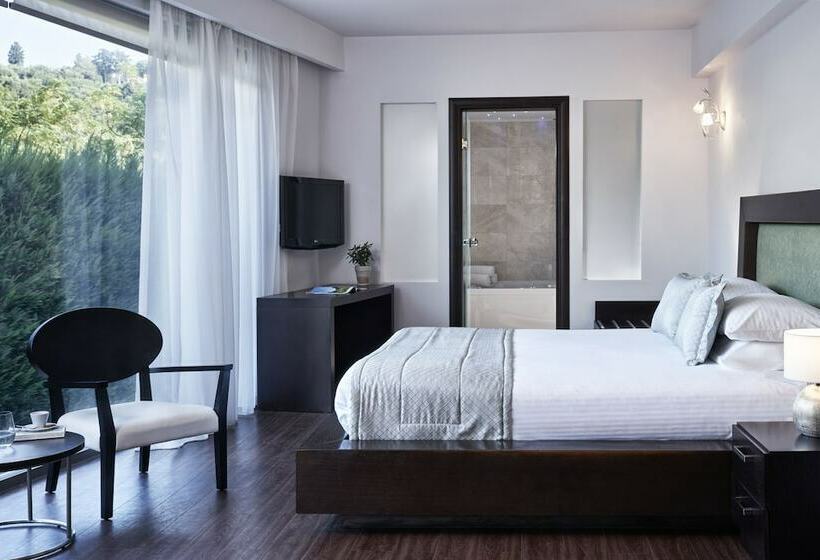 اتاق اجرایی, Lesante Classic, A Member Of Preferred Hotels & Resorts