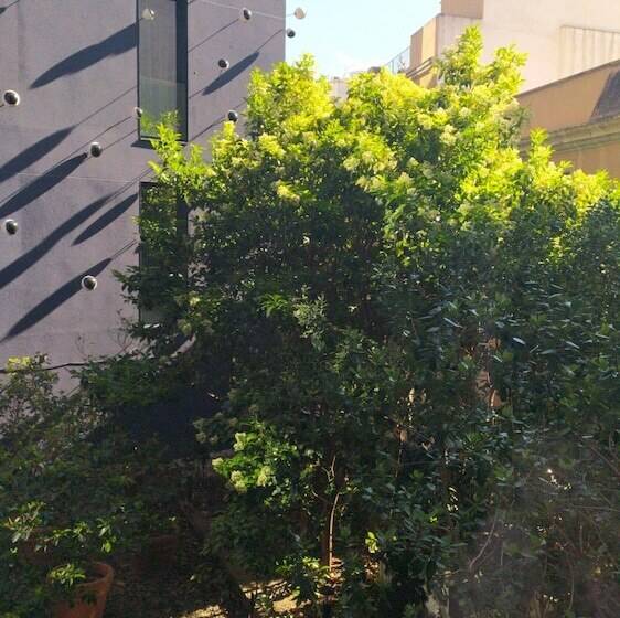 اتاق استاندارد, Ohla Barcelona