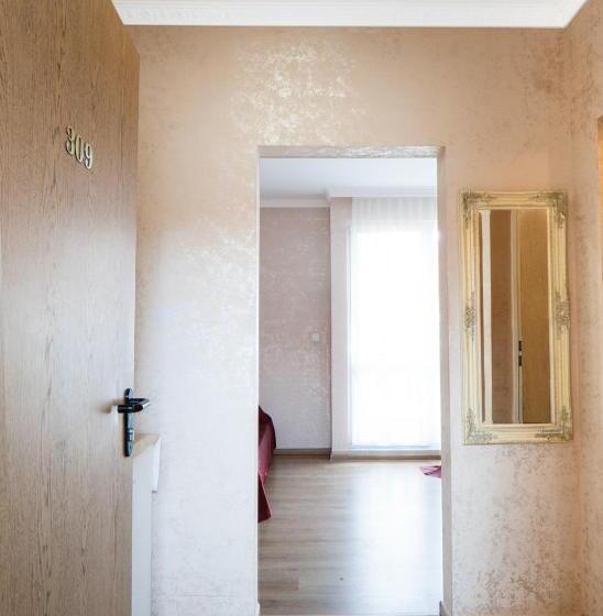 デラックスルーム, Zeus