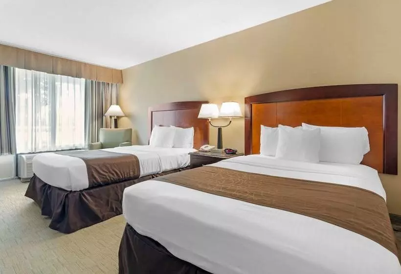 ２ダブルベッドのスタンダードルーム, Best Western Lexington Inn