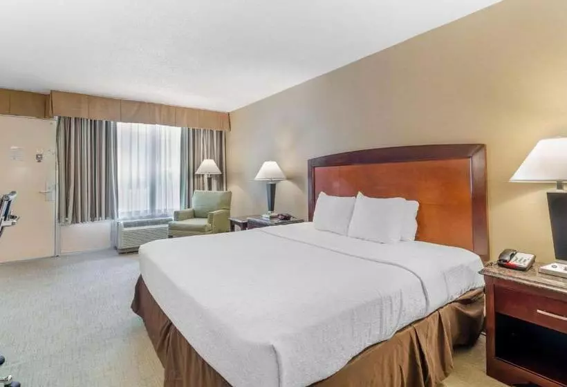 キングサイズベッドのスタンダードルーム, Best Western Lexington Inn