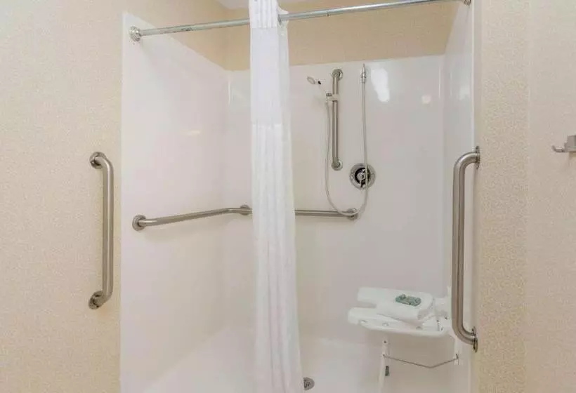 身障者適用スタンダードルーム, Best Western Lexington Inn