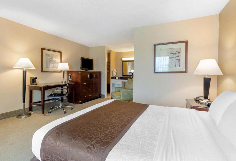 身障者適用キングサイズベッドルーム, Best Western Lexington Inn