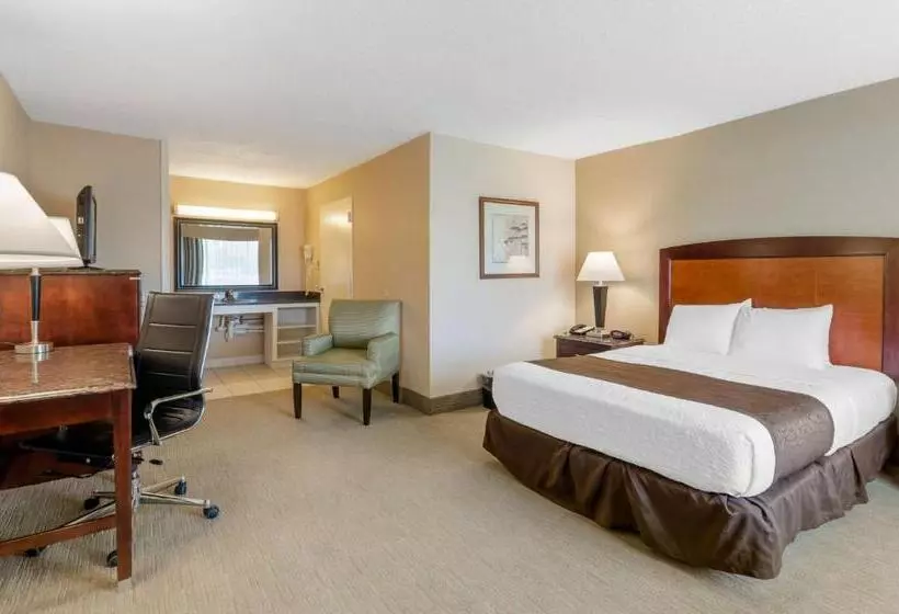 身障者適用キングサイズベッドルーム, Best Western Lexington Inn