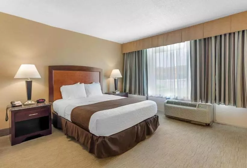 身障者適用キングサイズベッドルーム, Best Western Lexington Inn