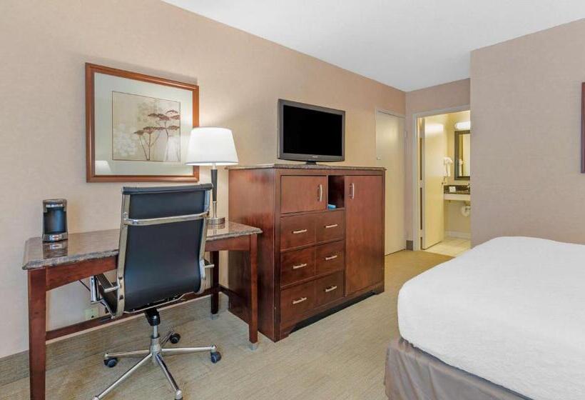 身障者適用クイーンサイズベッドルーム, Best Western Lexington Inn