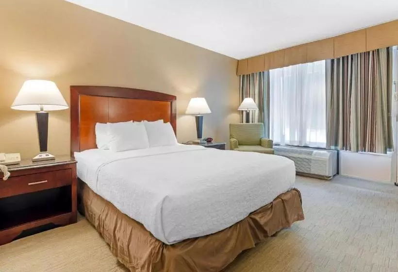 身障者適用クイーンサイズベッドルーム, Best Western Lexington Inn