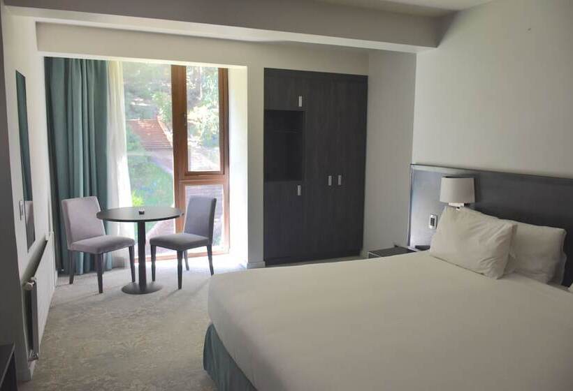 חדר סופריור, Bosque De Reñaca