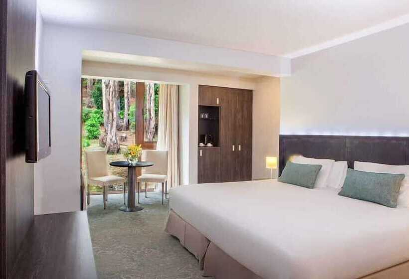 חדר סופריור, Bosque De Reñaca