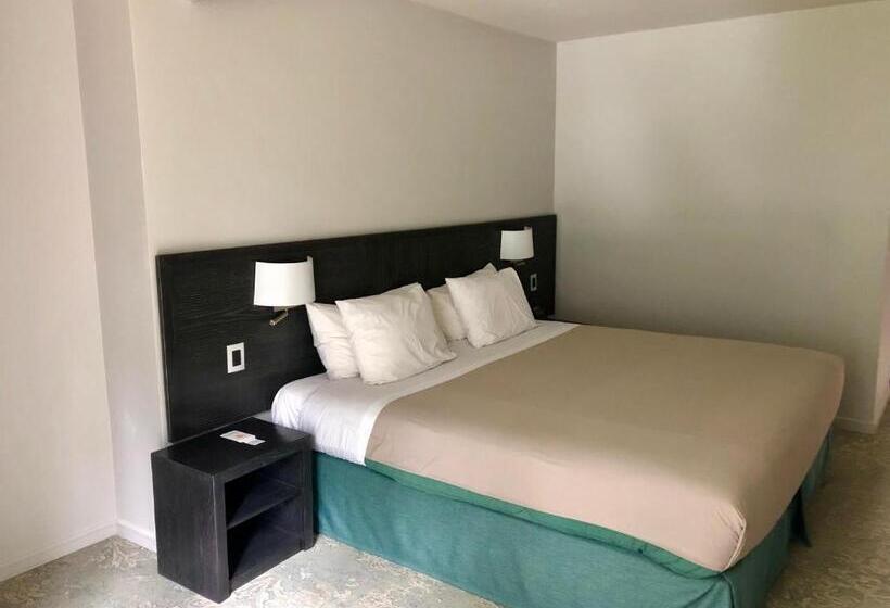 חדר סופריור, Bosque De Reñaca