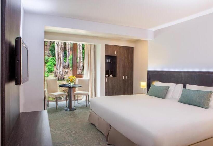 חדר סופריור, Bosque De Reñaca