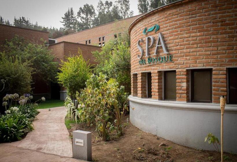 اتاق سوپریور, Bosque De Reñaca