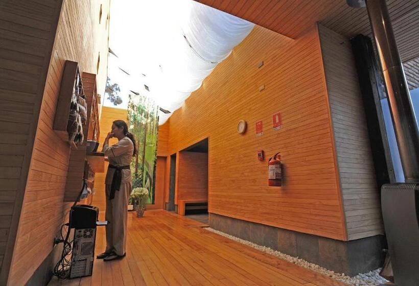 חדר סופריור, Bosque De Reñaca