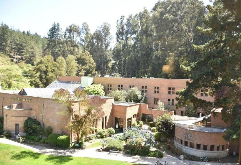 חדר סטנדרט, Bosque De Reñaca