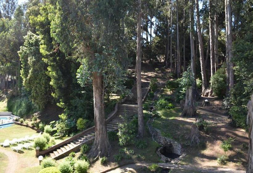 סוויטת ג'וניור דלוקס, Bosque De Reñaca