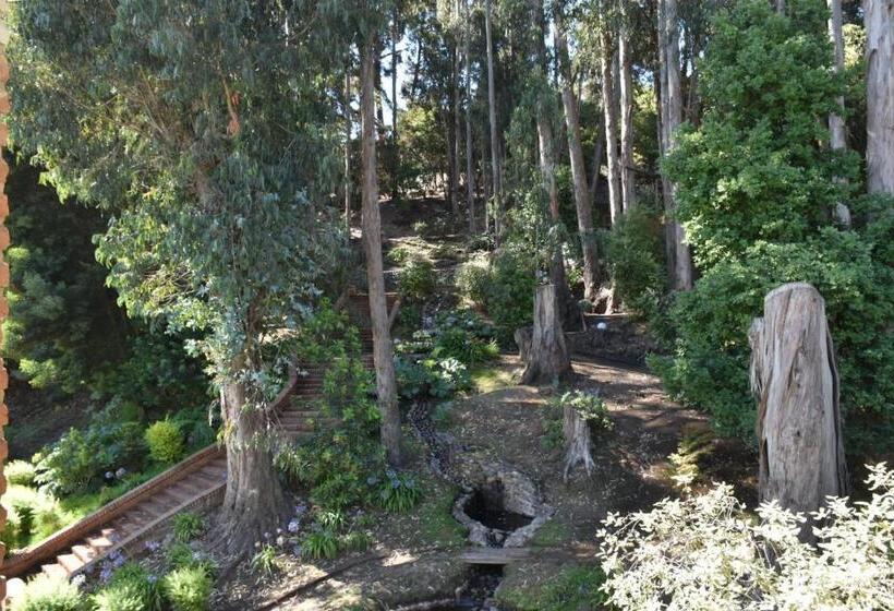 سوییت جونیور لوکس, Bosque De Reñaca