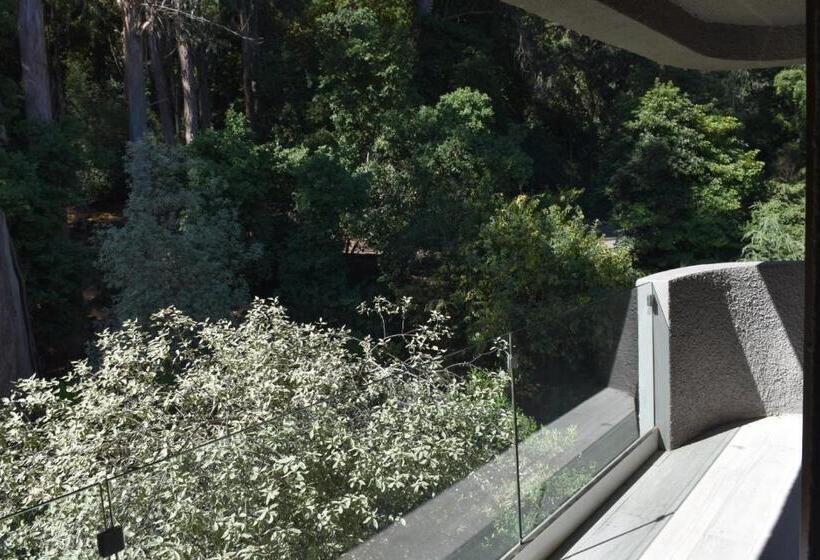 סוויטת ג'וניור דלוקס, Bosque De Reñaca