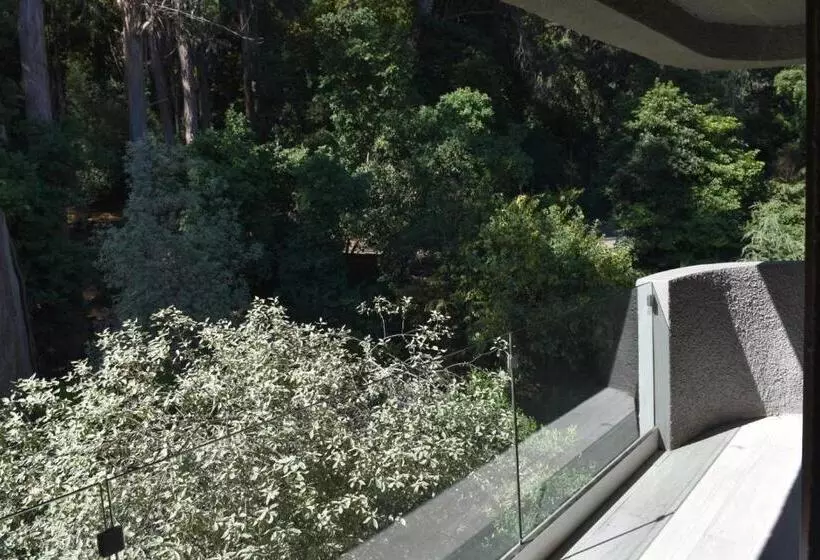 سوییت جونیور لوکس, Bosque De Reñaca
