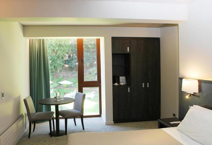 חדר סופריור, Bosque De Reñaca